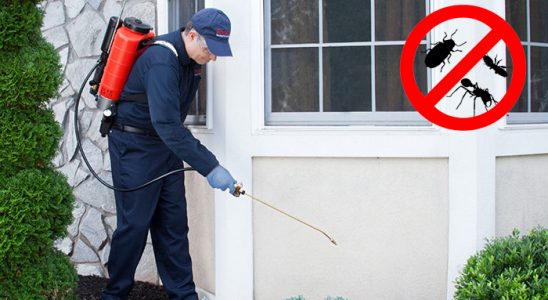 Süleymanpaşa Kemirgen İlaçlama böcek ilaçlama ve haşere kontrolü — ilaclama-tr.com
